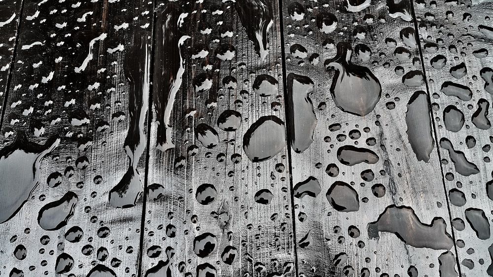 После дождя