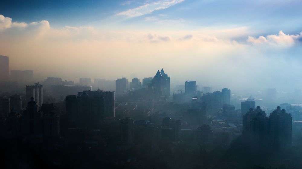 Рождаясь из тумана