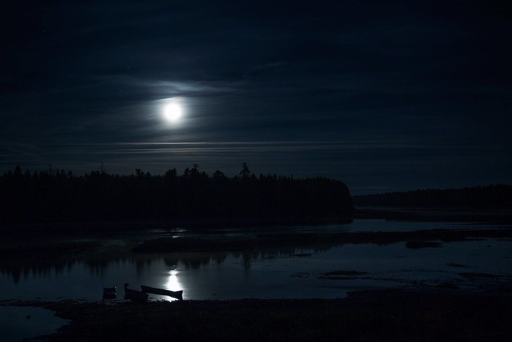 Лунная ночь над рекой Мезень