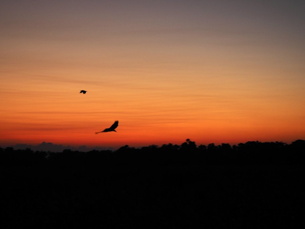 Свободный полёт