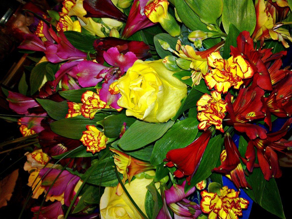 букет живых цветов