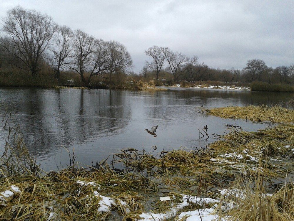 Photograph by Евгений Ерохин