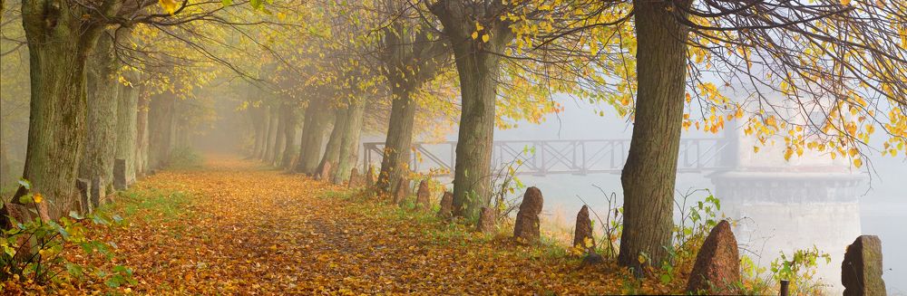 эта осень...