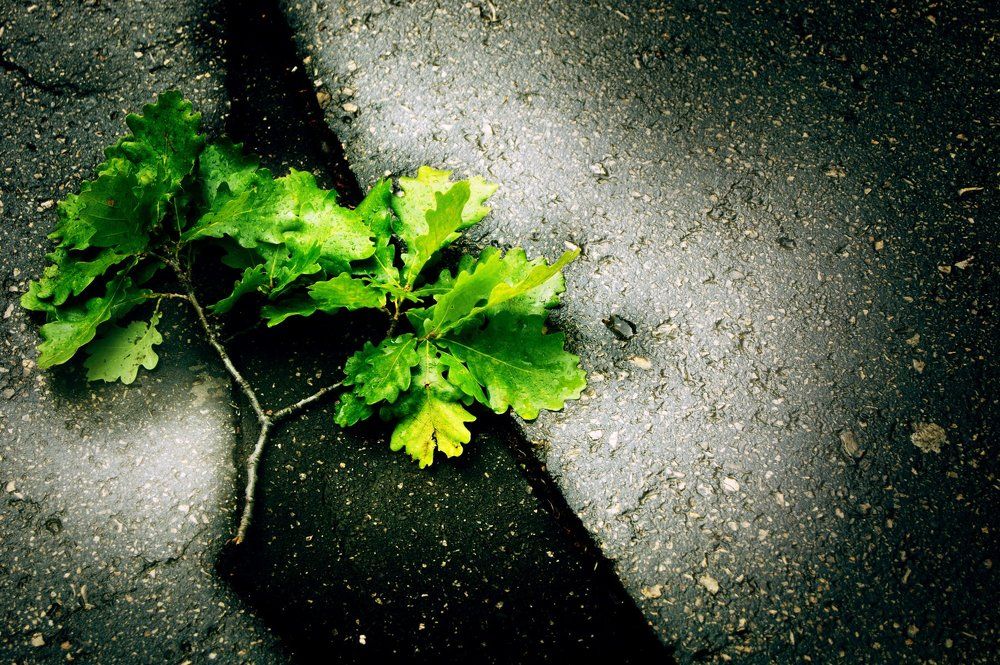 Геометрия мира