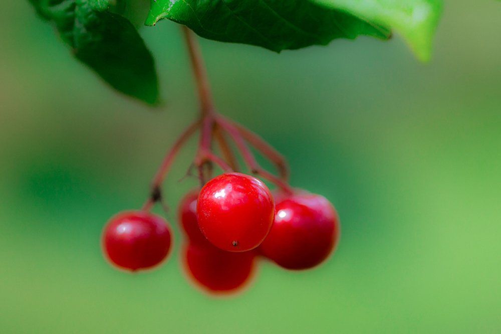 Photograph by Александр Егоров