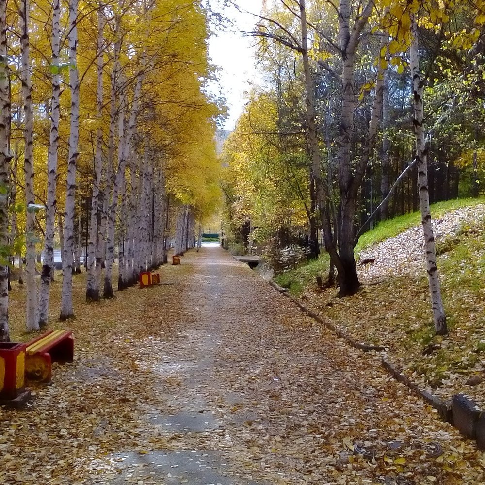 Осенняя дорога