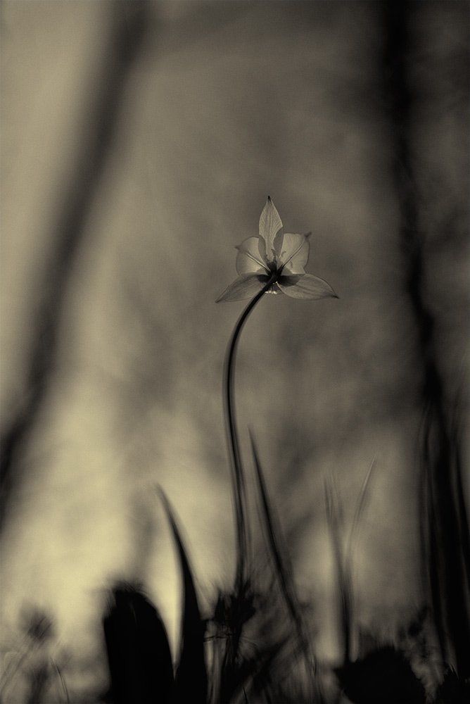 Фотография автора Игорь Баранов