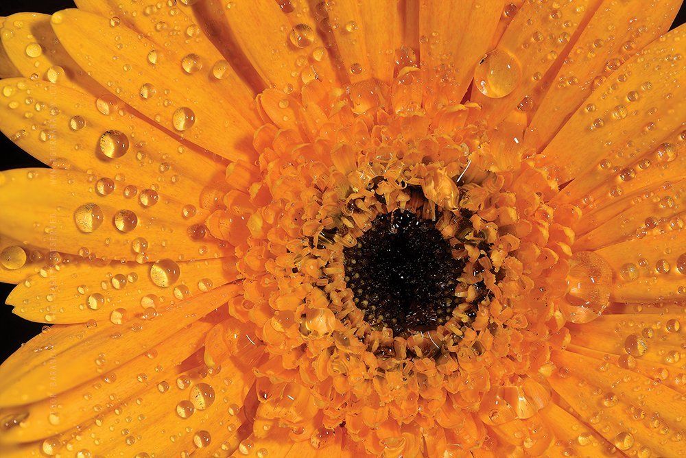 Фотография автора Игорь Баранов