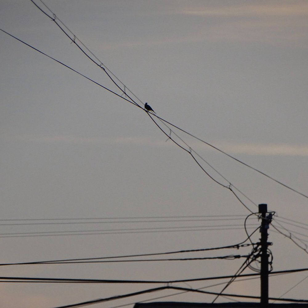 Бифуркационная точка...