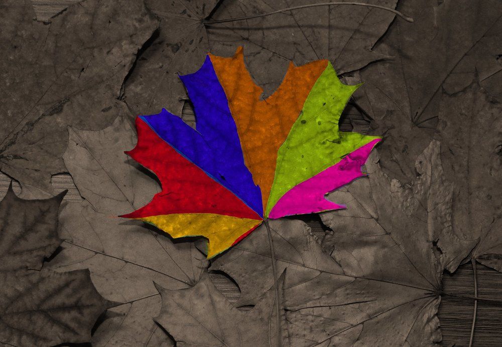 Разноцветная осень