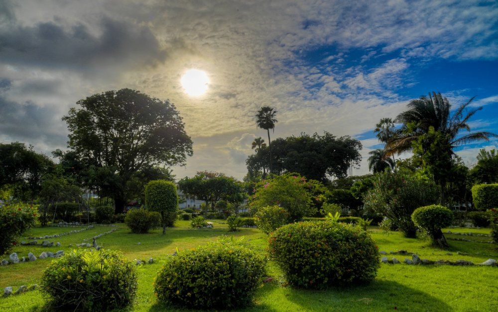 Shadows of the Sunshine