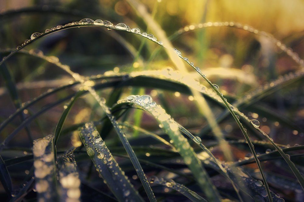 Бодрое утро