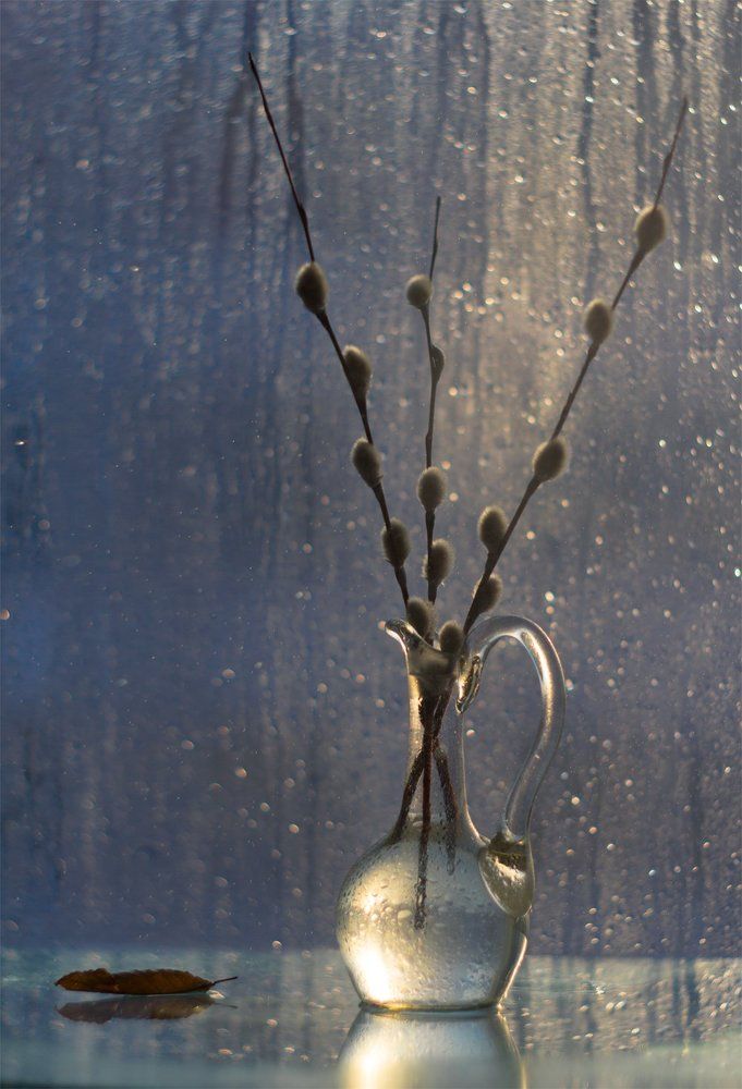 Рождественское чудо