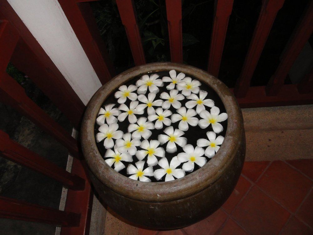 Ваза с цветами.