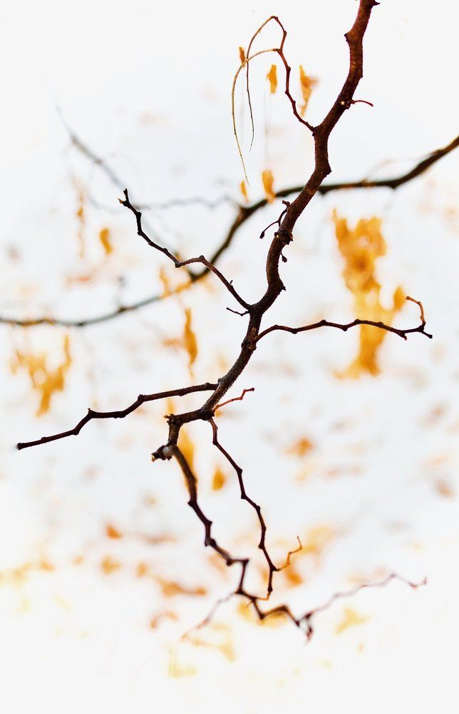 Photograph by Искандар Газизов