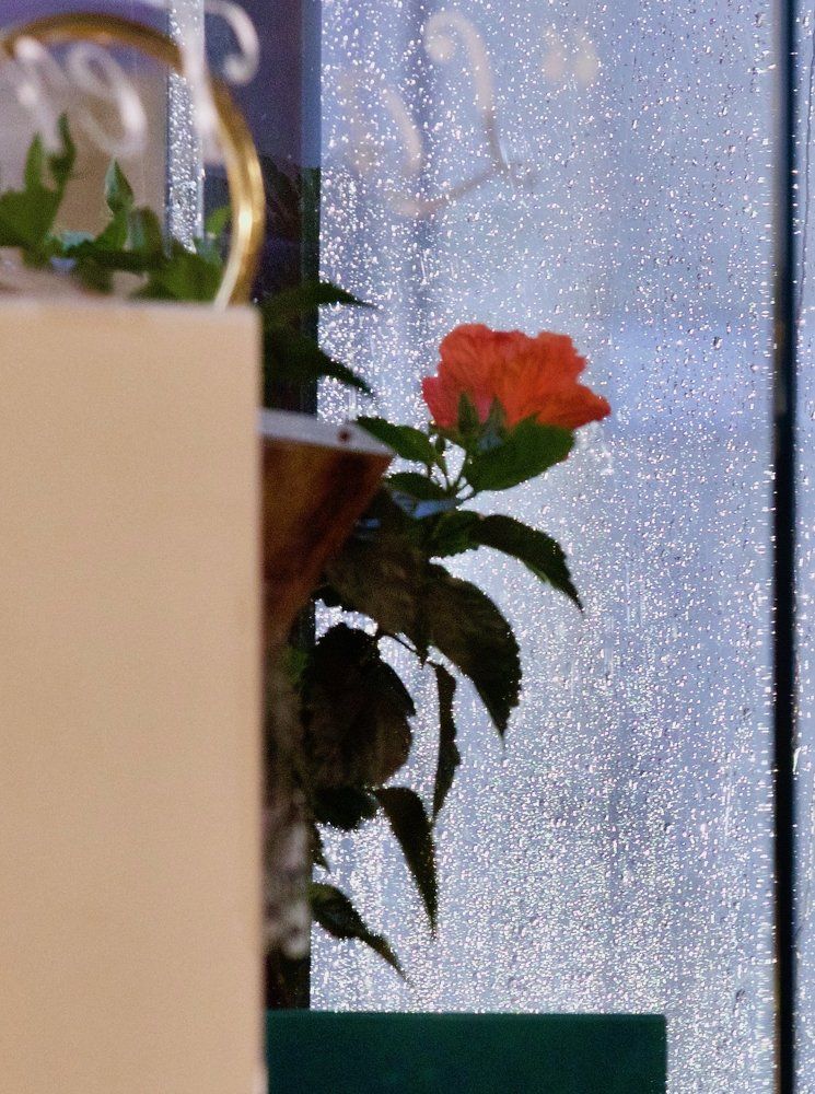 Photograph by Искандар Газизов