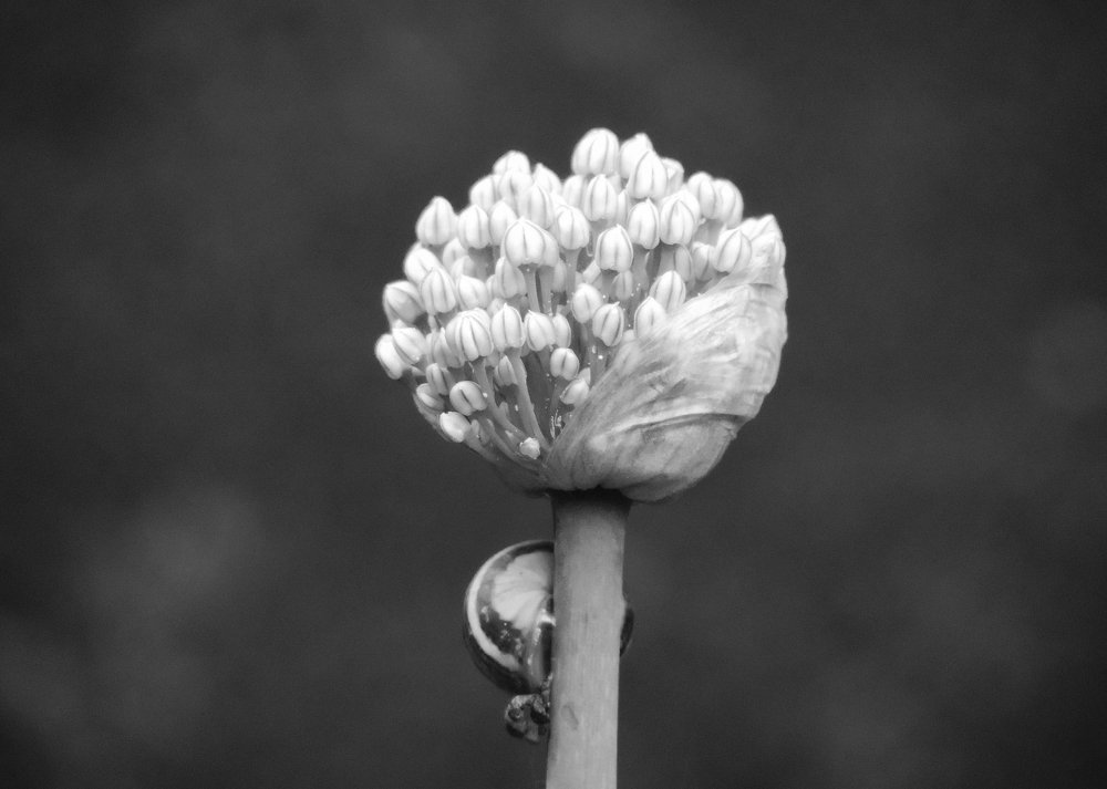 La beauté de la simplicité