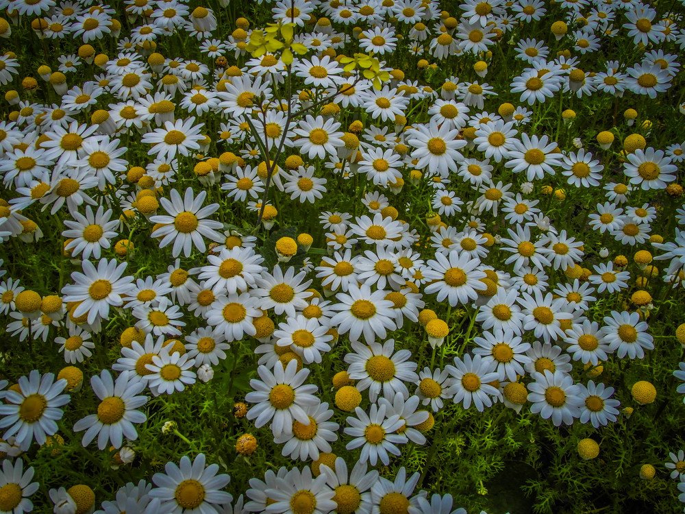 La splendeur de la nature méditerranéenne