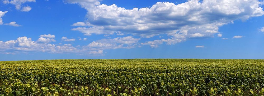 Болгария. Простор.
