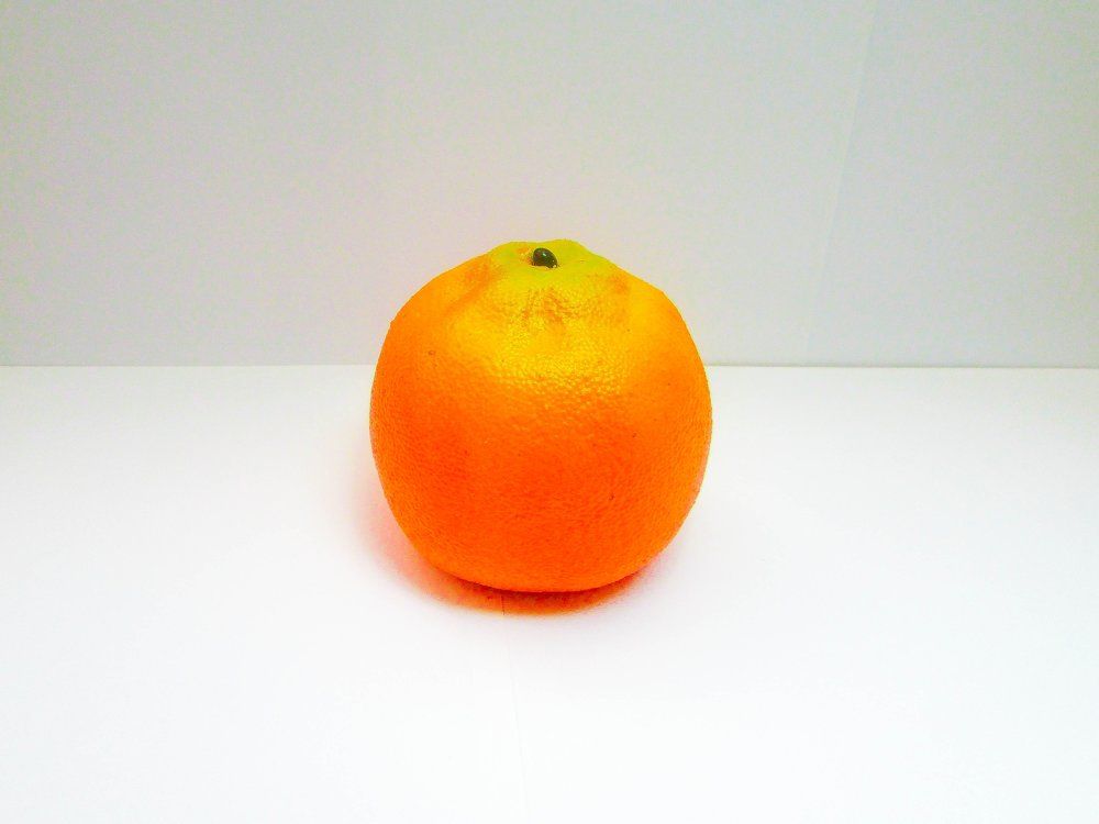 Photograph by Nikita