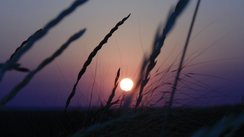 Photo #1919903