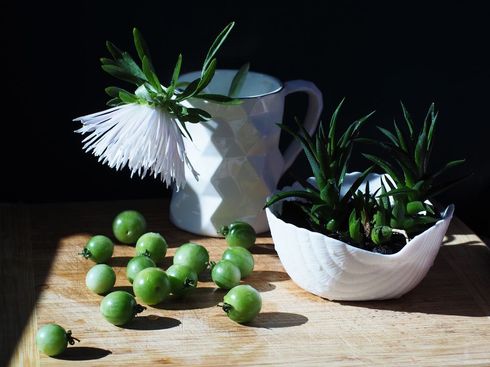 Натюрморт с хризантемой.