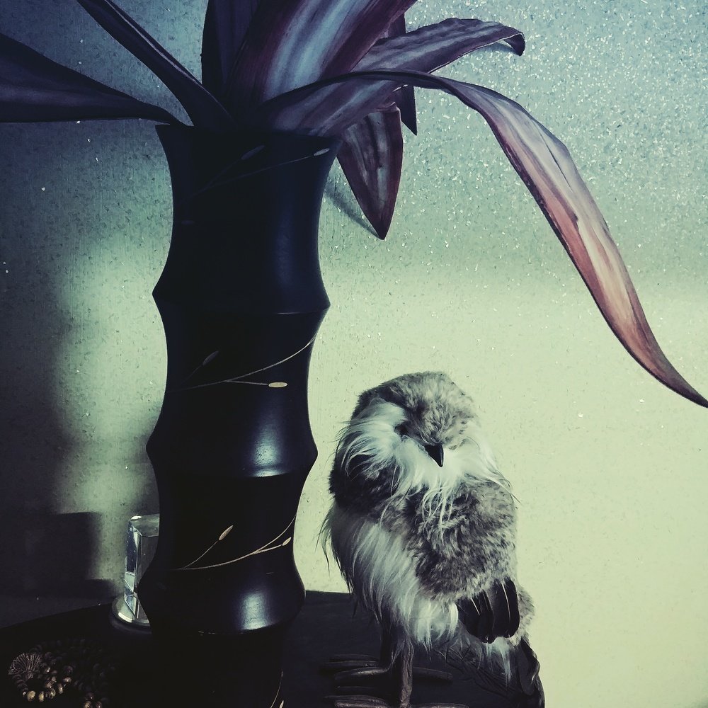 Натюрморт 2