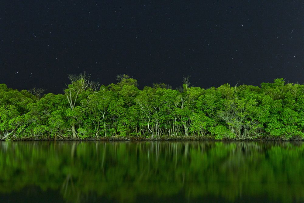 Космос, земля и вода