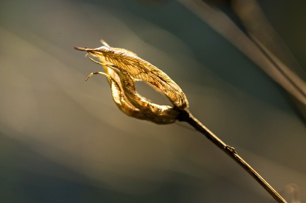 Photograph by Тараненко Анжелика