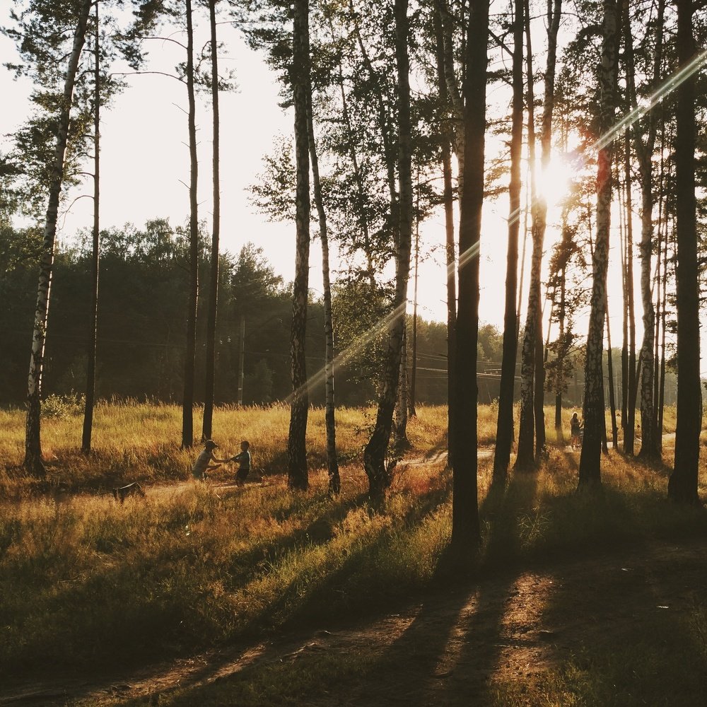 Детство на даче