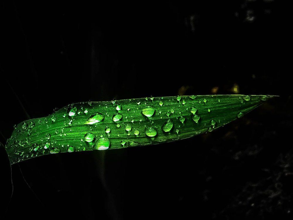 Photograph by Лена