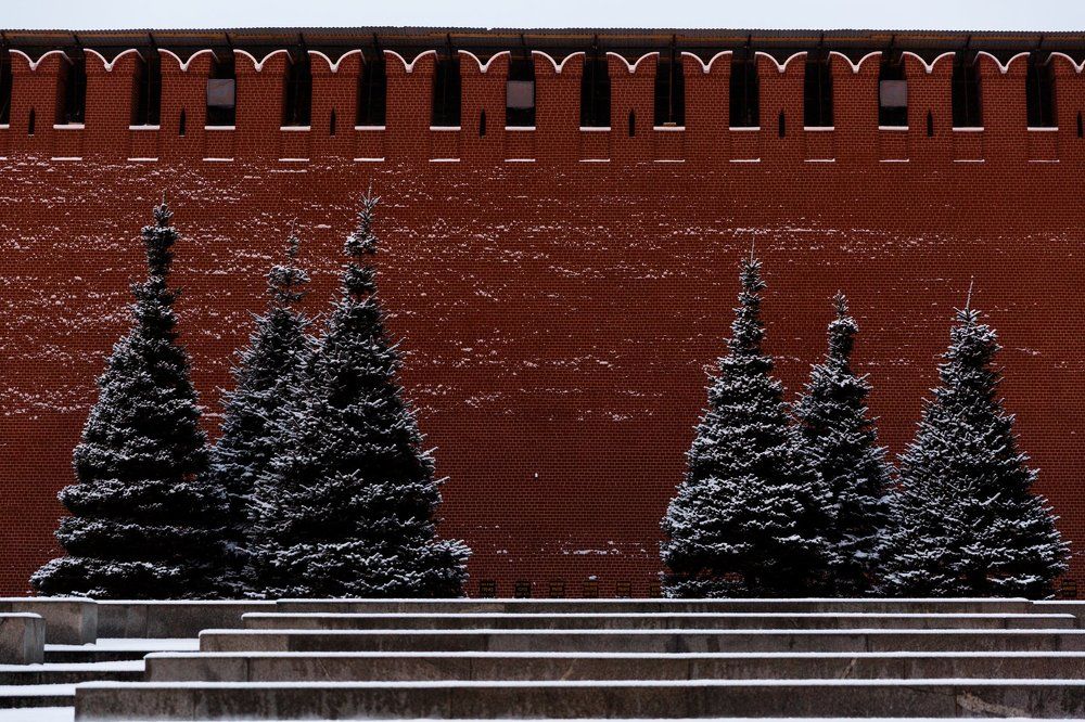 Фотография автора Анна