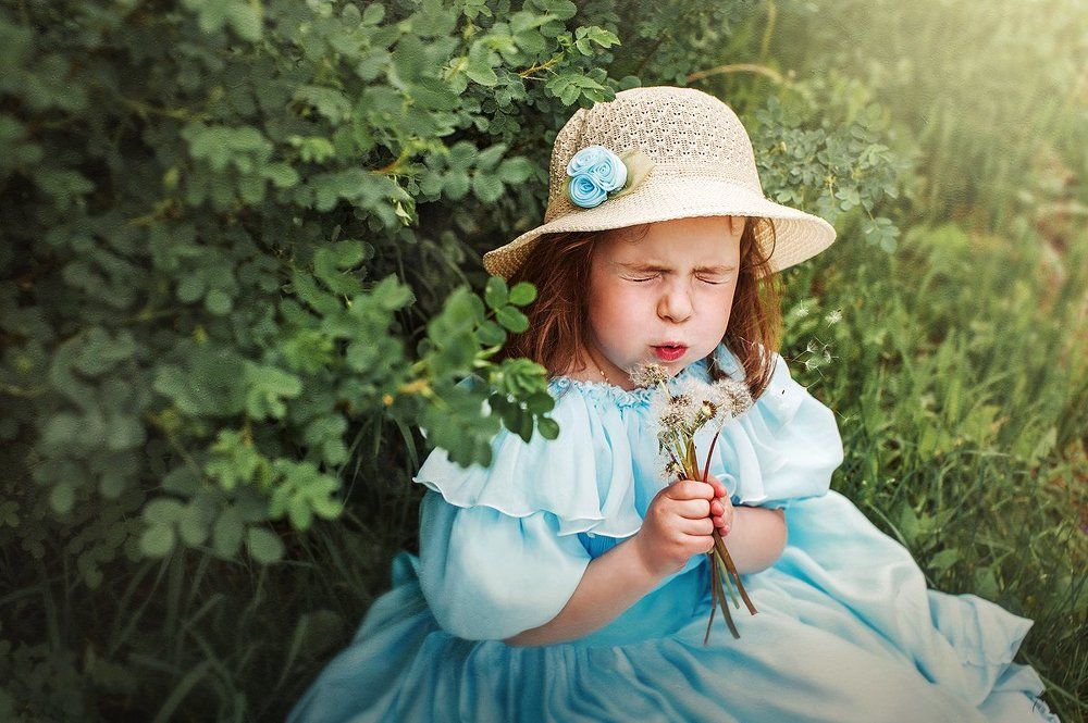 Одуванчики