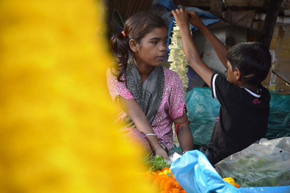 COLOURS OF LIFE - The ESSENCE Of LIVING