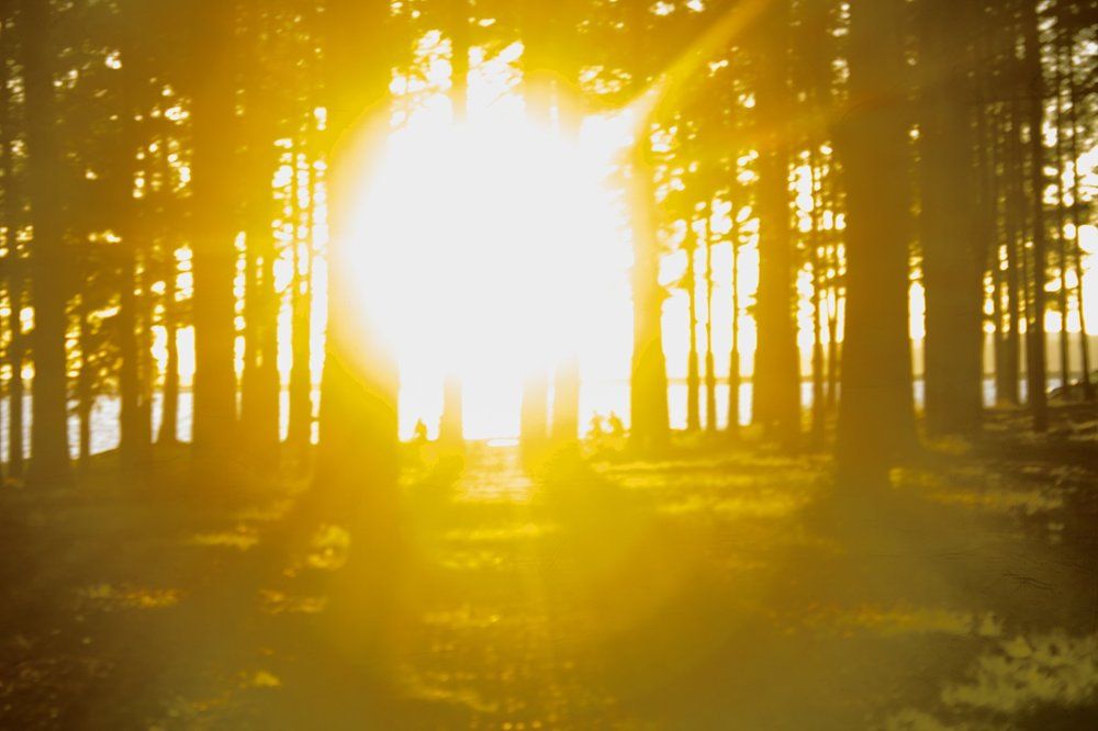 солнечный свет