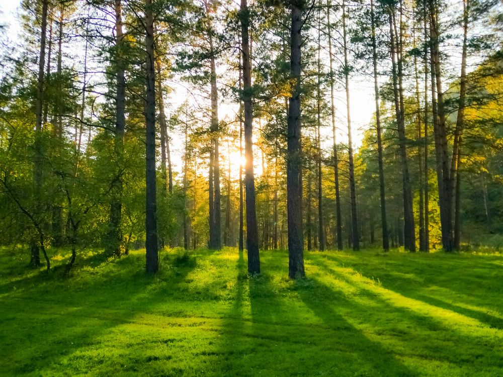 Photograph by Георгий