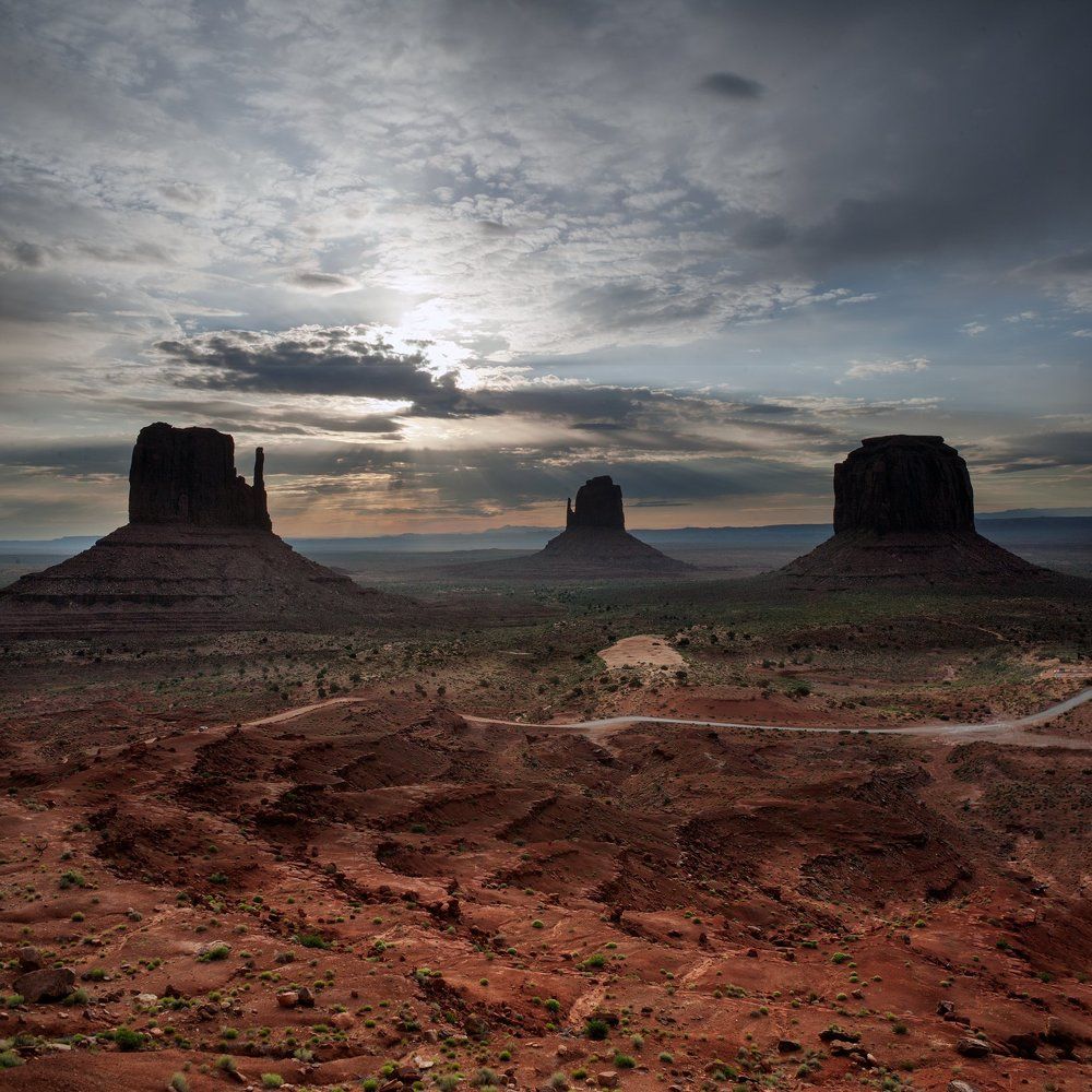 Вечерние силуэты
