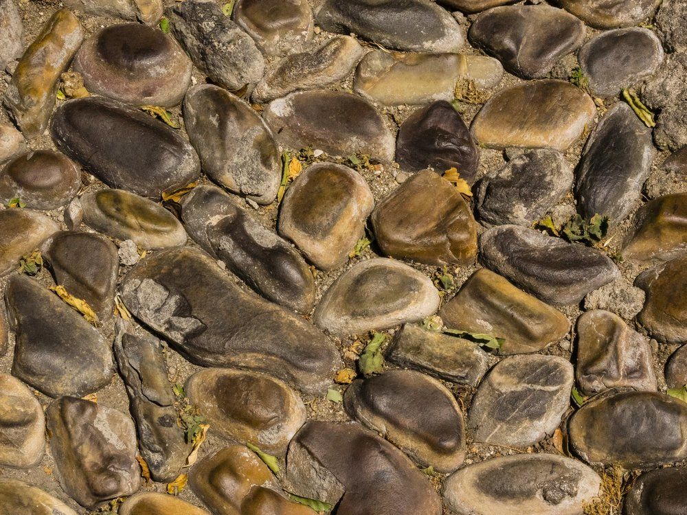 The evidence of the centuries