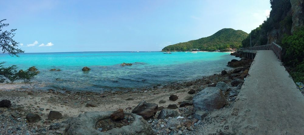 Тропическое утро