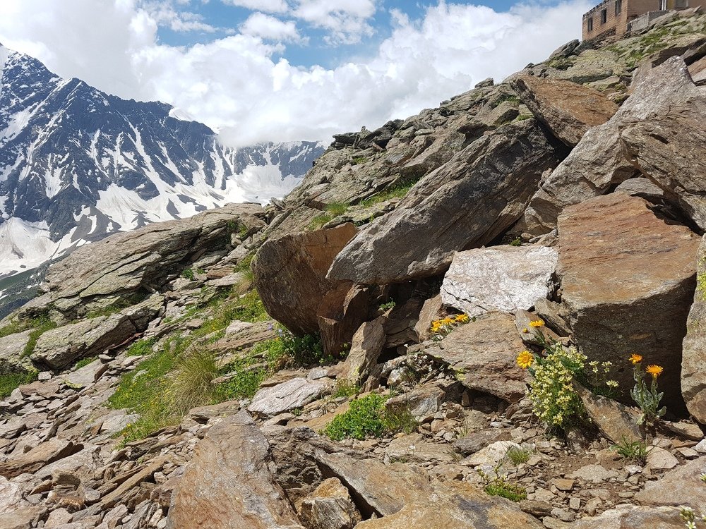 Photograph by Любовь