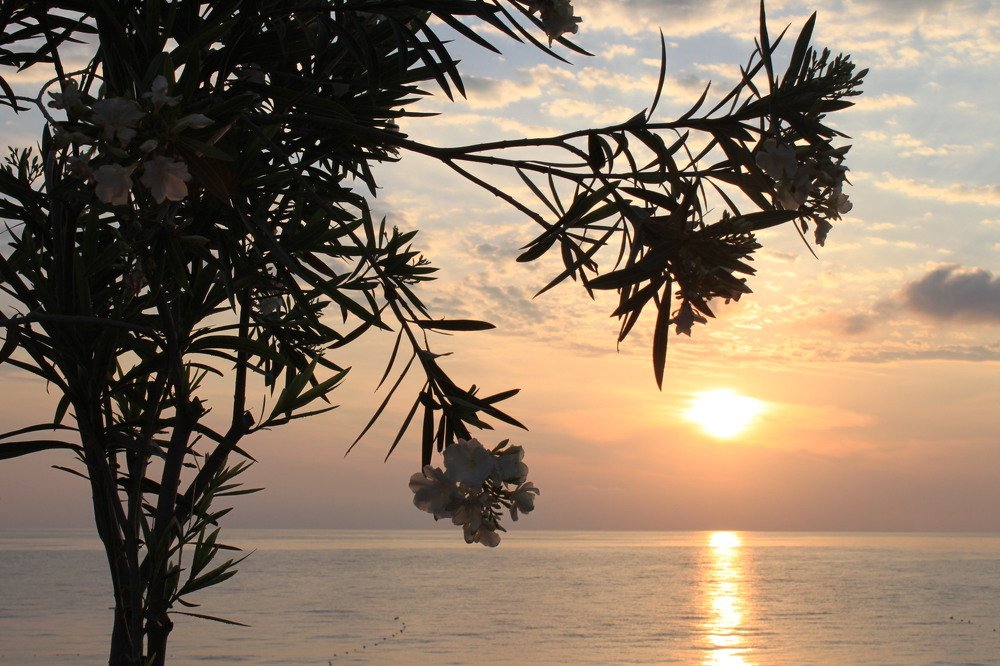 Фотография автора Алина