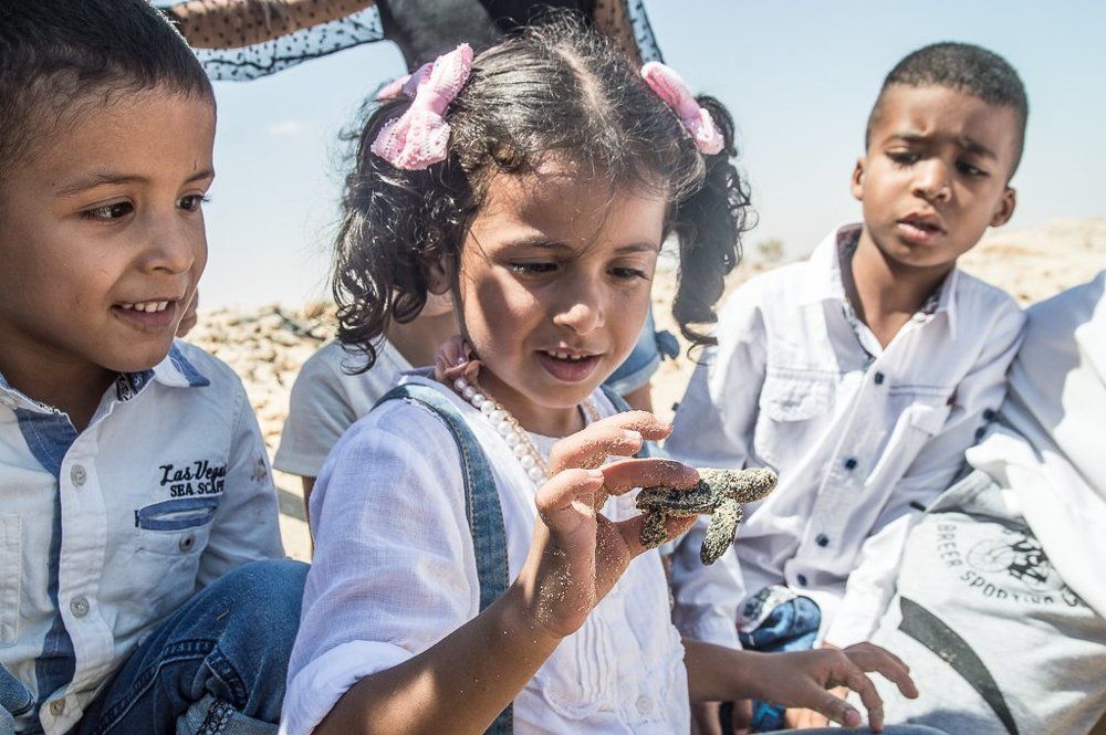 children with sea turtle