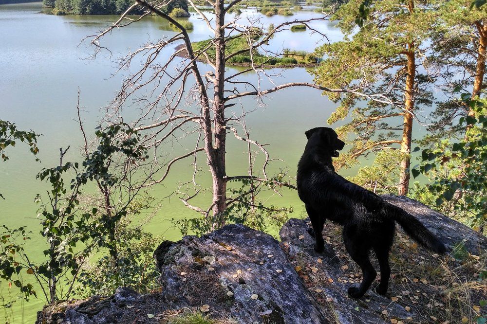 Доброе утро