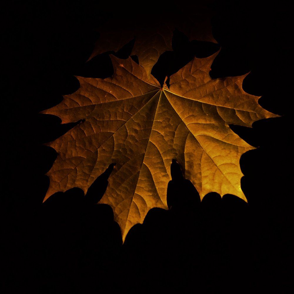 Верх или низ?