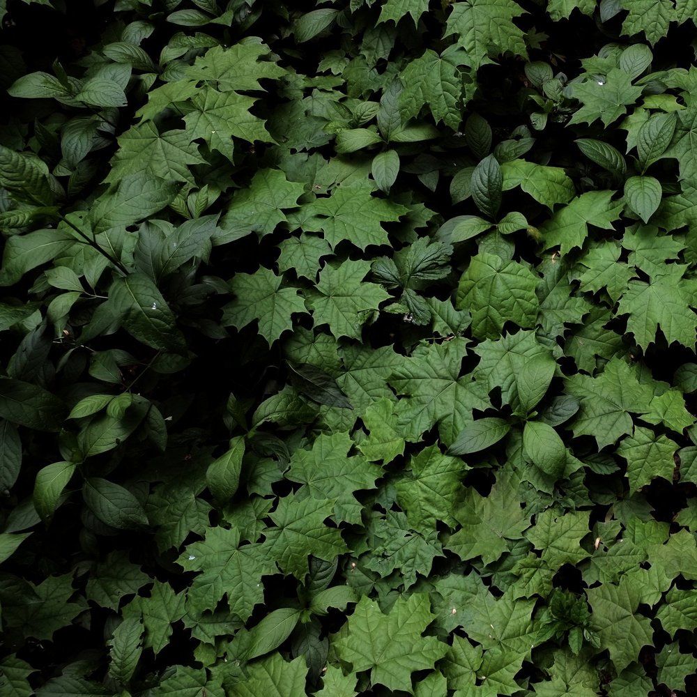 Photograph by Андрей