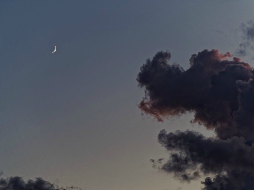 Собака воет на луну...