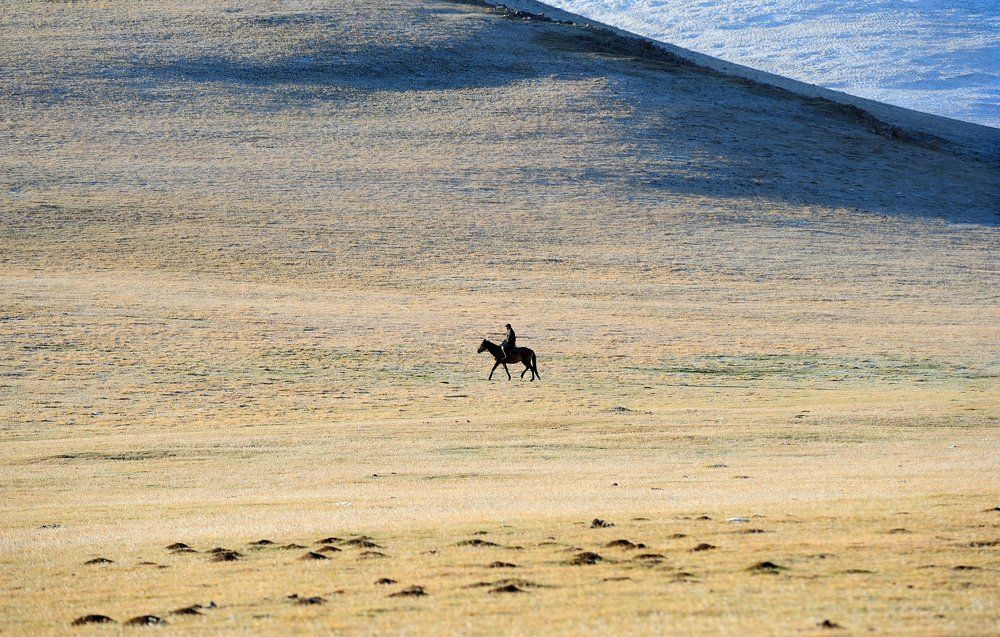 Навстречу рассвету