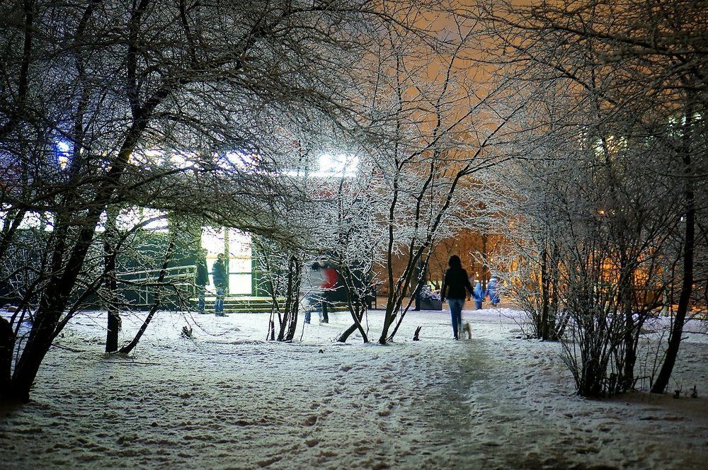 Фотография автора Valery Bel@kov