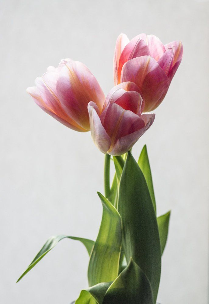 Photograph by Бадаев Антон