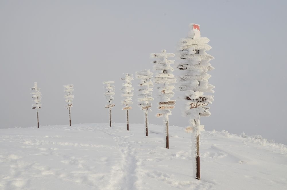 Пойди туда, не знаю куда...